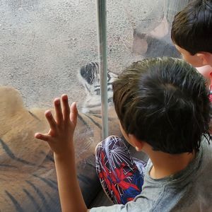 Meet your Posher, Teresa